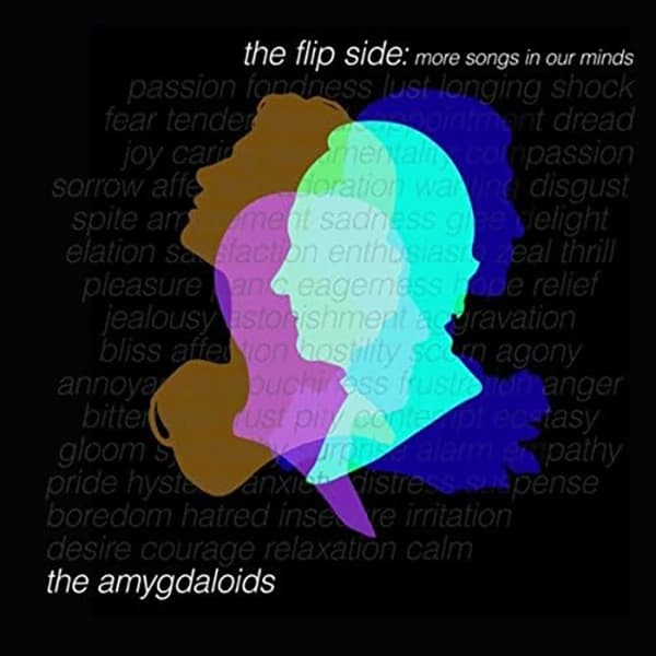 The Flip Side: More songs in our minds Cover
