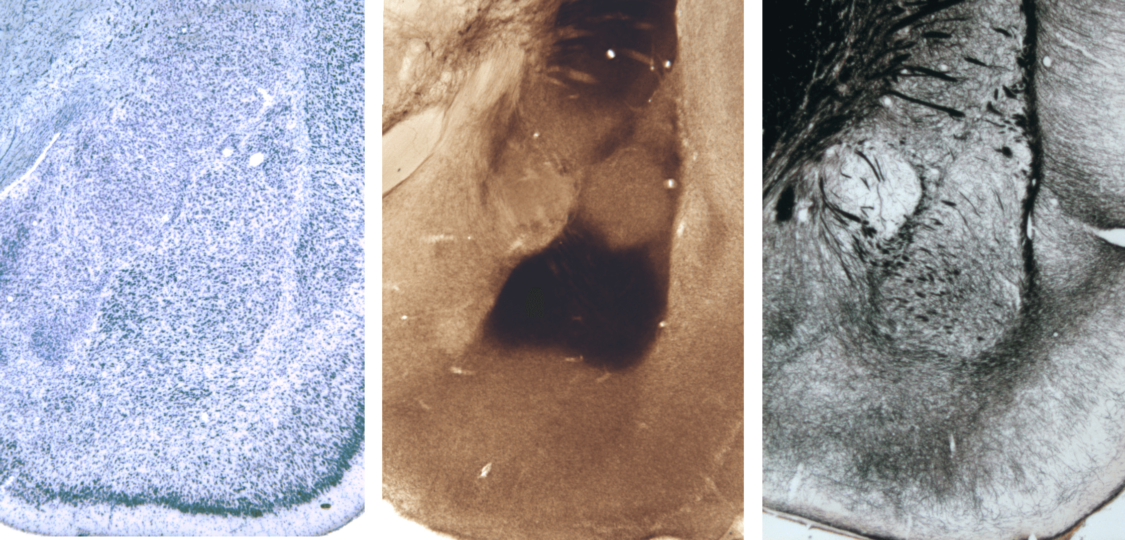 Picture of Molecules